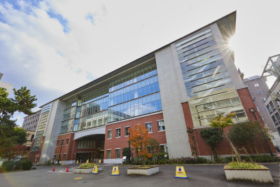 文章を入れてください