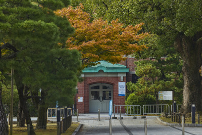 文章を入れてください