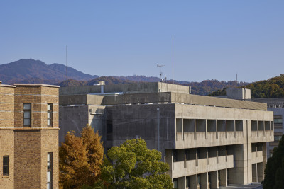 文章を入れてください