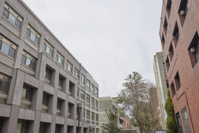 文章を入れてください