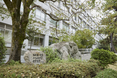 文章を入れてください