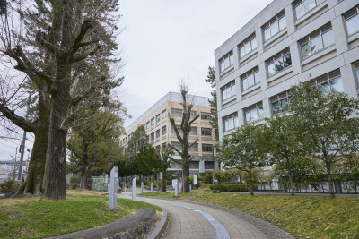 文章を入れてください