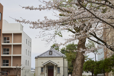 文章を入れてください