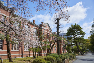 文章を入れてください