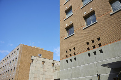 文章を入れてください