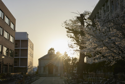 文章を入れてください