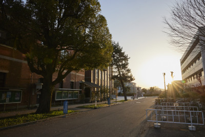 文章を入れてください