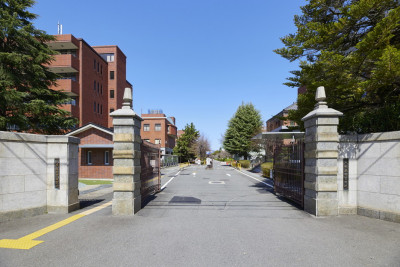 文章を入れてください