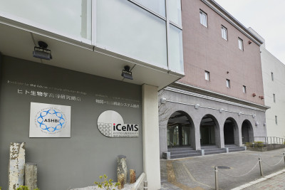 文章を入れてください