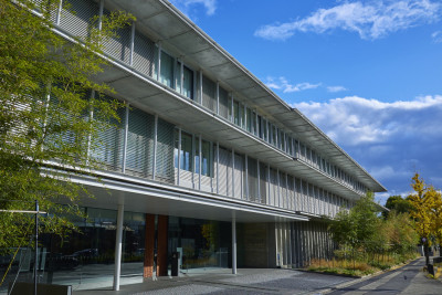 文章を入れてください