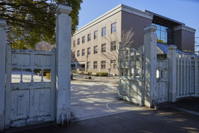 文章を入れてください