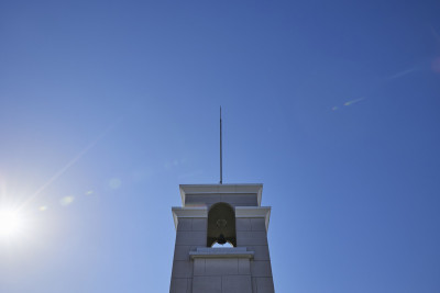 文章を入れてください