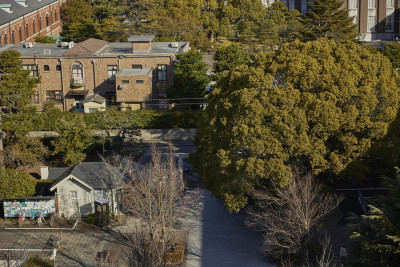 文章を入れてください