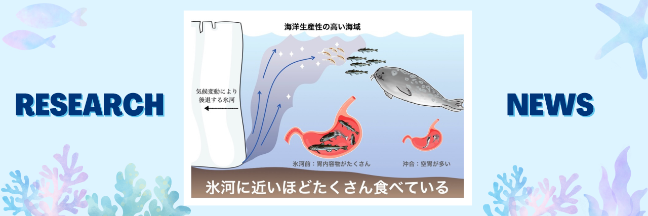 北極域の氷河前縁は “ご馳走スポット”