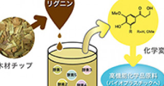 本研究の概要図