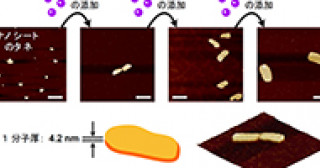 本研究の概要図