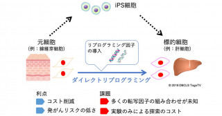 細胞の直接変換を誘導する転写因子を高精度で予測するAI手法を開発－マルチオミクスデータと機械学習を活用した再生医療の開拓－