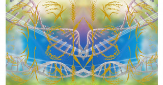 Species thrive through social connections