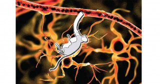 Breathtaking solution for a breathless problem