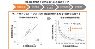 キメラ抗原受容体T細胞療法におけるリンパ球採取効率化の取り組み―最適な治療戦略策定への貢献に期待―