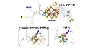 酵素を模倣した金属-硫黄化合物により窒素還元反応を実現―持続可能社会に寄与するエネルギー変換に向けた第一歩―