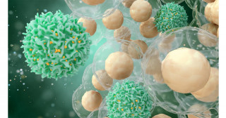 あらゆる固形がんを8種に分類するプログラムを開発―がん治療薬である免疫チェックポイント阻害剤の効果を事前予測―