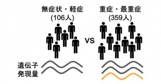 「コロナ制圧タスクフォース」COVID-19患者由来の血液細胞における遺伝子発現の網羅的解析－重症度に応じた遺伝子発現の変化には、ヒトゲノム配列の個人差が影響する－