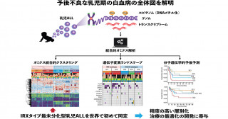 乳児期発症急性リンパ性白血病を5群に分類できることを解明−分子診断法の高精度化と治療の最適化への貢献を期待−