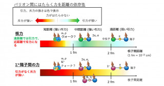 クォーク間の「芯」をとらえた─物質が安定して存在できる理由の理解に貢献─