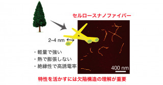 セルロースナノファイバーに生じた原子レベルの欠陥構造を発見～理想的なバイオポリマー材料の生産にむけて～