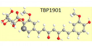 プロドラッグ型クルクミン注射製剤の抗腫瘍効果及び治療標的の包括的な解析―安全性の高い抗がん薬としての開発に期待―