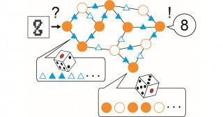 脳型人工知能の実現に向けた新理論の構築に成功―ヒントは脳のシナプスの「揺らぎ」―