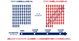 全身性エリテマトーデスへのコロナワクチンの影響を分析―中期的な疾患活動性と再燃への影響について―