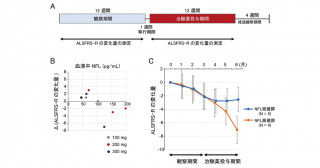筋萎縮性側索硬化症（ALS）患者さんを対象としたボスチニブ第1相試験；iDReAM試験の成果報告 