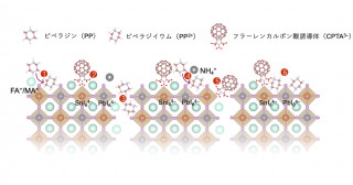 スズを含むペロブスカイト太陽電池：ペロブスカイト薄膜の相乗的表面修飾法を開発―22.7%の光電変換効率と高耐久性を達成―