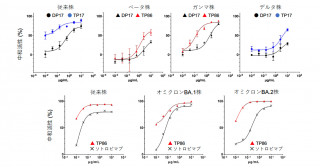 新型コロナウイルスを中和するアルパカ抗体―マウス実験で有効性を確認―