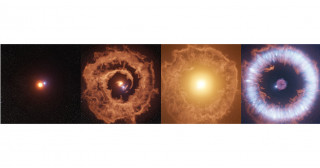 超新星の電波再増光が示す連星進化の道筋