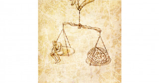 体外で製作されるヒト脳組織について、正確な情報発信の必要性を指摘