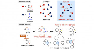 二種類の高反応性化合物を精密に反応させる新手法を開発―医薬品の候補となる化合物の迅速な合成に期待―