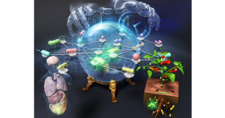 微生物生態系の崩壊は予測できる―医療・工業・農業における微生物叢制御の基盤情報学―