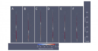 振動工学と農学の融合により、倒れにくい飼料トウモロコシの迅速選抜手法を開発