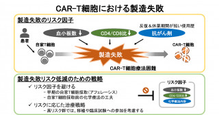 CAR-T細胞製造を成功させるためのレシピ―アフェレーシス前の下ごしらえでの工夫―