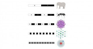 量子力学世界を「スケール分離」する～計算機シミュレーションの大幅な効率化に期待～