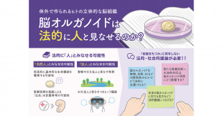 体外で製作されるヒト脳組織（ヒト脳オルガノイド）が法律的に「人」とみなされうることを指摘