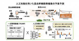 人工知能を用いた造血幹細胞移植後の合併症発症予測―畳み込みニューラルネットワークによる移植片対宿主病発症予測―