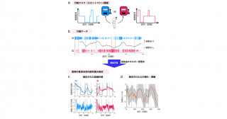 機械学習により「心の揺れ・葛藤」の解読に成功～報酬と好奇心の間で揺れる想い～