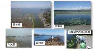 環境DNAによる全国湖沼の魚類モニタリング：1Lの採水によって40種を超える魚種を検出