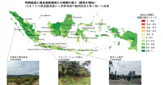 インドネシア全土20年間の植生指数の変化―地球環境問題への示唆―