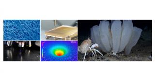 「深海インスパイヤード化学」のコンセプトを発表―カーボンニュートラル実現に向けた新たな深海利用の提案―