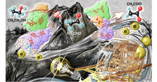 バイオエタノールを電解効率100%で燃焼―バイオと数理の力で拓く生体触媒による2段階カスケード反応―